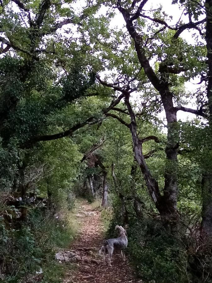 Natura Zome Caylus Extérieur photo